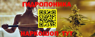 МДПВ Бийск
