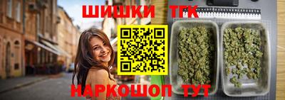 МДПВ Бийск