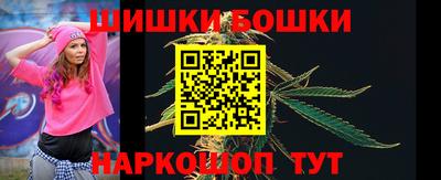 МДПВ Бийск
