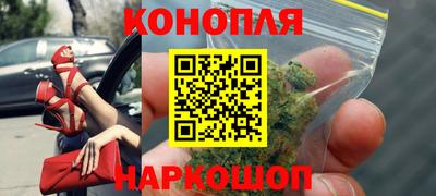 МДПВ Бийск